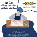 603922288 1166455885676246 2274664117073970025 n