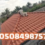 IMG 20251121 WA0020 2
