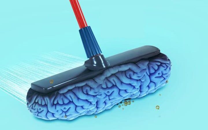 245256467 5293021694054794 3003860508958671576 n