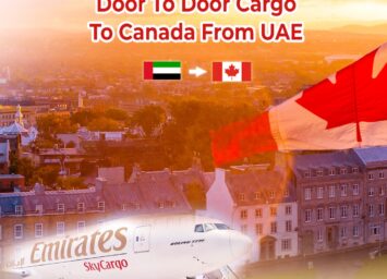 WhatsApp Image 2026 01 28 at 8.14.33 PM