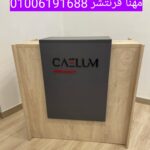 1000092493