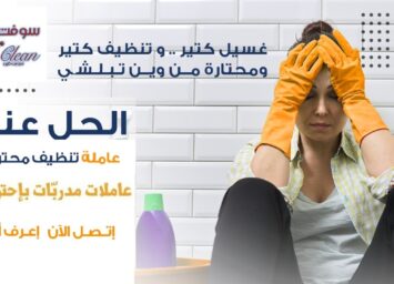 275225525 137004948820161 3811259097983101018 n