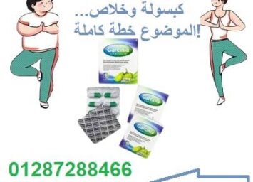 746058491 963766026677862 8043038955369628828 n