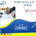 مدير مالى البسامى منى