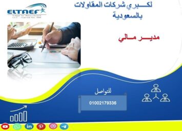 مدير مالى البسامى منى