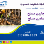 الفيس 1